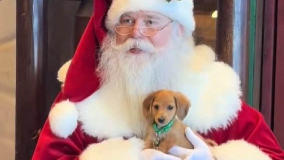 pas upoznao deda mraza