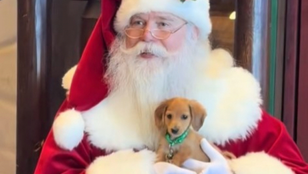 pas upoznao deda mraza