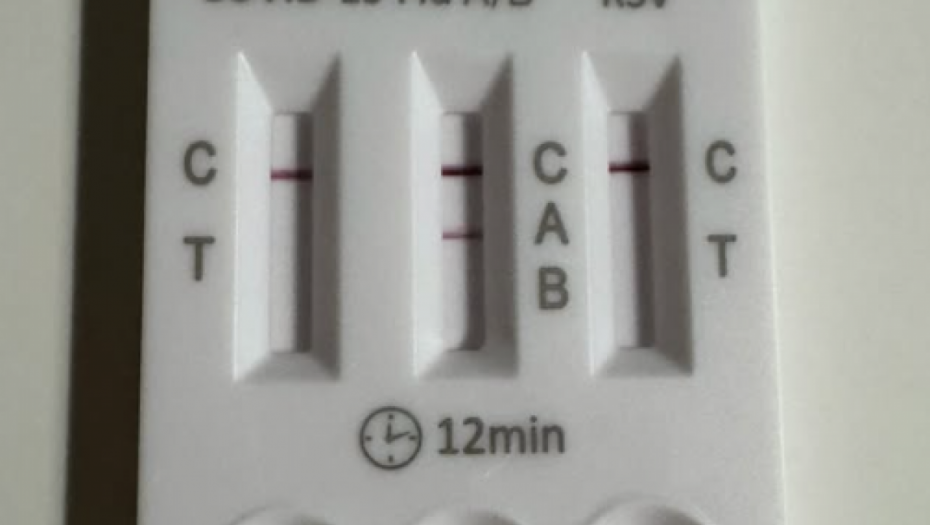 Instagram/rozgajelenaofficial