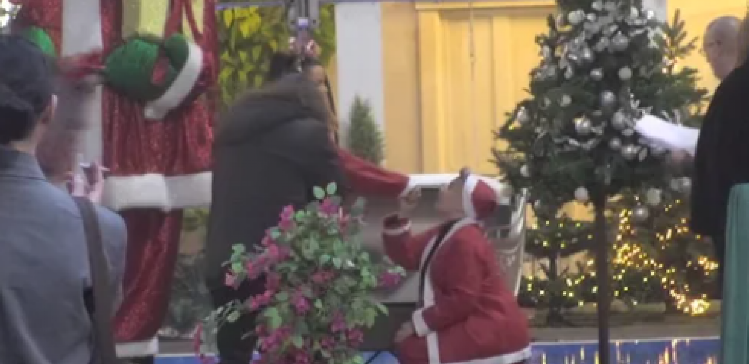 Jovana Tomić Matora, Dragana Stojančević