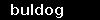 buldog
