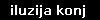 iluzija konj