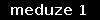 meduze 1