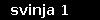 svinja 1