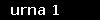urna 1
