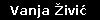 Vanja Živić