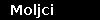 Moljci
