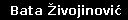 Bata Živojinović