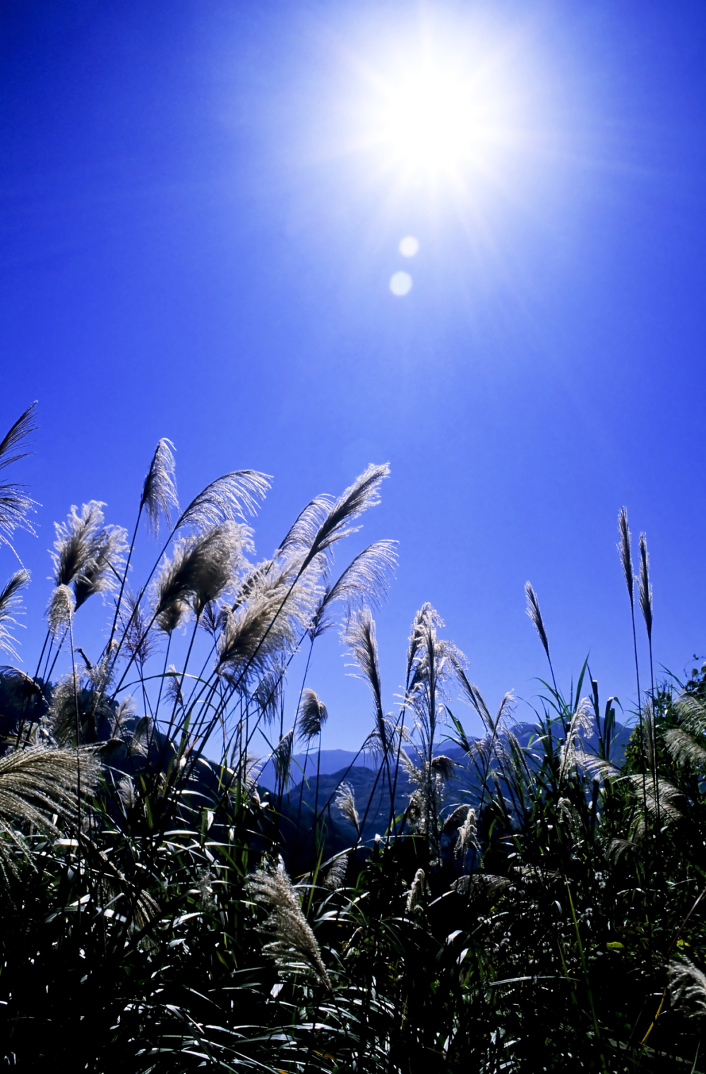 Sunce Sunčano vreme