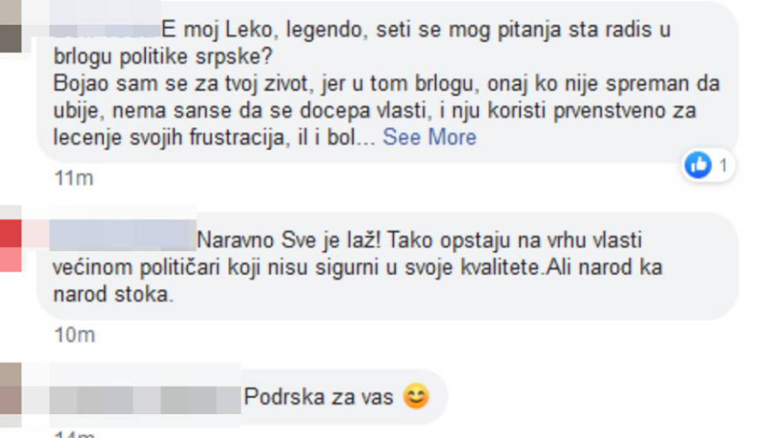Branislav Lečić, komentari podrške