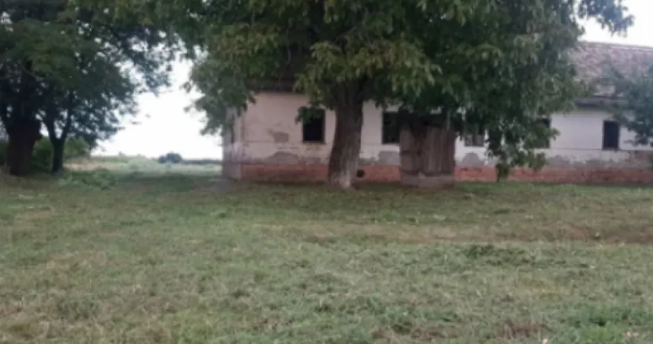 LEPI MIĆA LEPI MIĆA