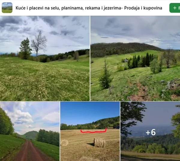 plac plac