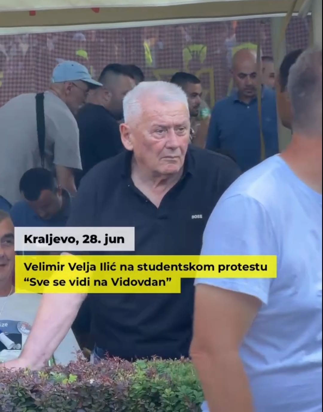 Velja Ilić