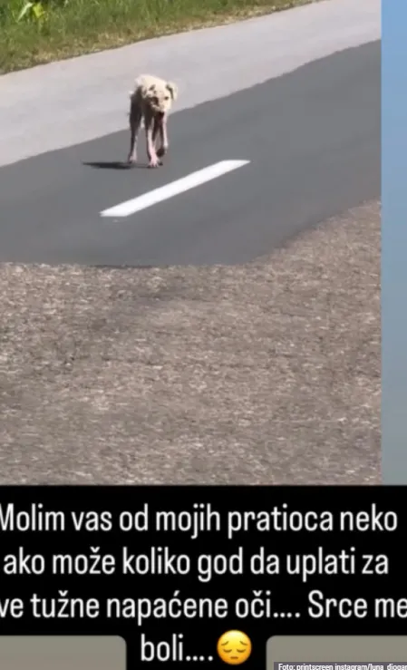 Luna Đogani Luna Đogani