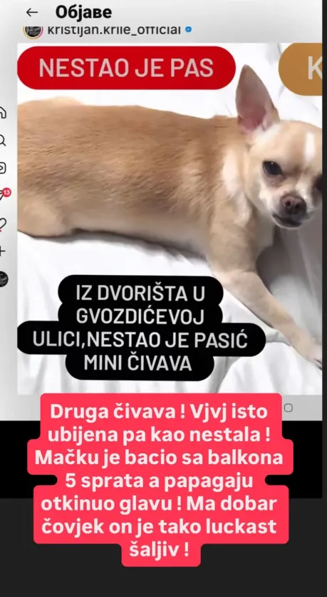 Pas Kristine Spalević Pas Kristine Spalević