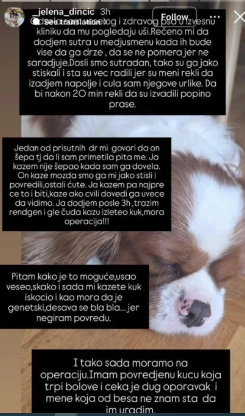 Jelenina objava na mrežama Jelenina objava na mrežama