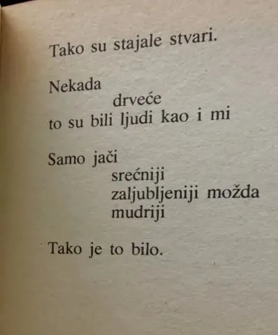 foto foto