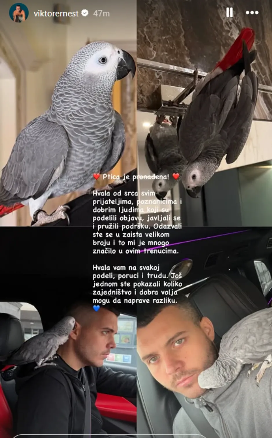 Viktor Živojinović Viktor Živojinović
