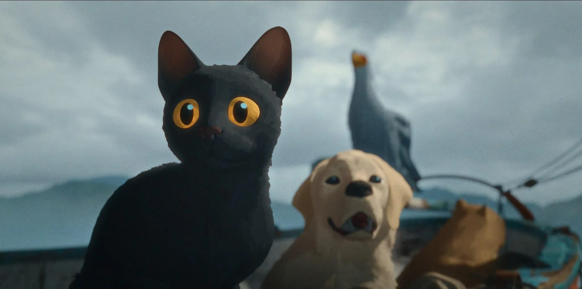IMDb IMDb