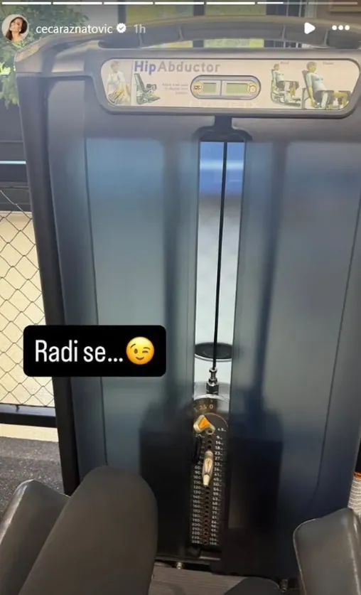 Ceca Ražnatović Ceca Ražnatović