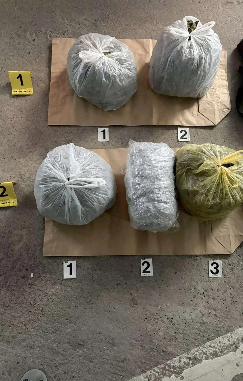 Zaplenjena marihuana