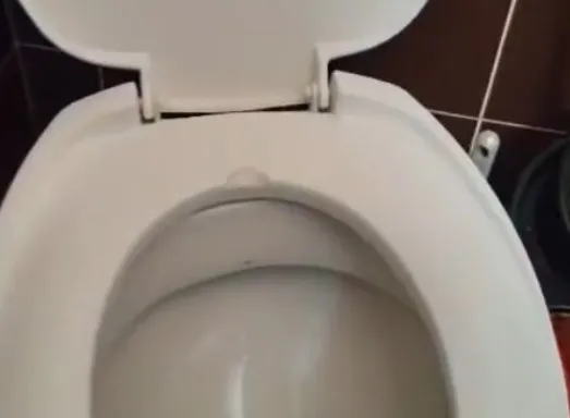 sss sss