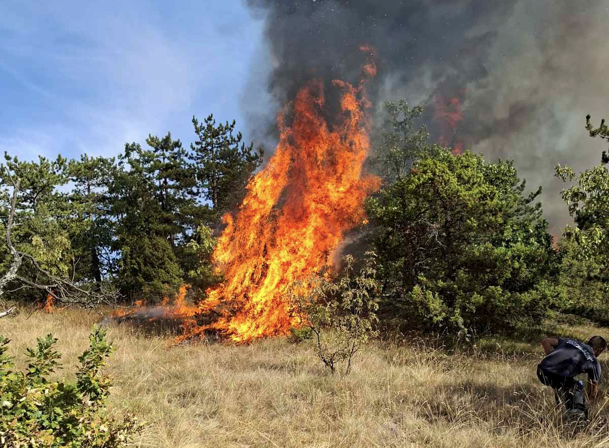 Požar
