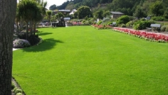 Ako želite lep travnjak nikako ga ne šišajte po ovoj temperaturi, definitivno ćete ga upropastiti