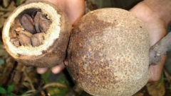 NE MOŽETE SPAVATI, KOSA OPADA, NOKTI SE LOME Evo šta vam telo traži