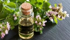 OVO SU IDEALNE KOMBINACIJE Začina iz naših krajeva