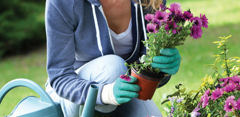 Savet iskusnih baštovana: Napravite ovu smesu i ubrzajte rast vaših biljaka