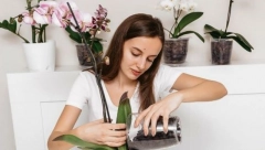 OVAJ CVET TREBA IMATI U STANU Tera loše ljude, i depresiju, a čuva dobre odnose u porodici