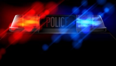 U SREMČICI VOZILO IZLETELO S PUTA, UDARILO U OGRADU DEČIJE USTANOVE Tome je prethodio sudar dva automobila