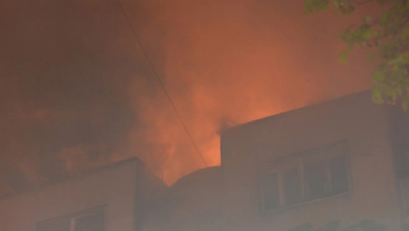 USRED POŽARA JE MOLIO - SPASITE MI PSA! Detalji drame na trećem spratu u Novom Sadu: Stanarka ispričala šta se dogodilo