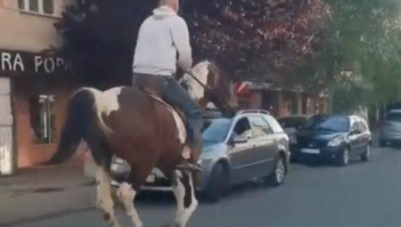 NA KONJU TRKNUO DO PRODAVNICE: Princ od Ceraka "zapalio mreže" i odjurio u suton! (VIDEO)