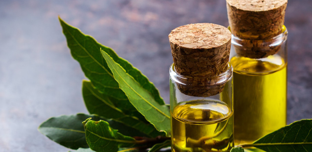 OVU BILJKU REDOVNO KORISTIMO U KUHINJI Malo ko zna za njena lekovita svojstva