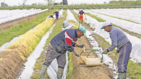 DNEVNICA I DO 10.000 DINARA Za 10 dana može da se zaradi za more, a radnika ni na vidiku