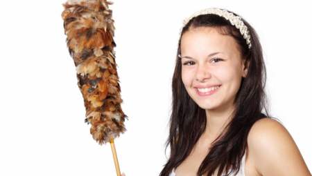 GOLI GOSTI, NEDVOSMISLENI PREDLOZI Tajne rada u hotelu i kako zaista izgleda posao sobarice