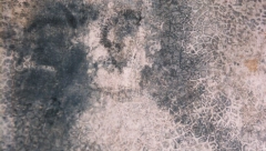 AKO SE I VAMA PRIKAZUJU OVI OBLICI, ODMAH POTRAŽITE SVESTENIKA Šta se krije iza zastrašujućih lica Belmeza koje se pojavljuju i nestaju po zidovima kuće?