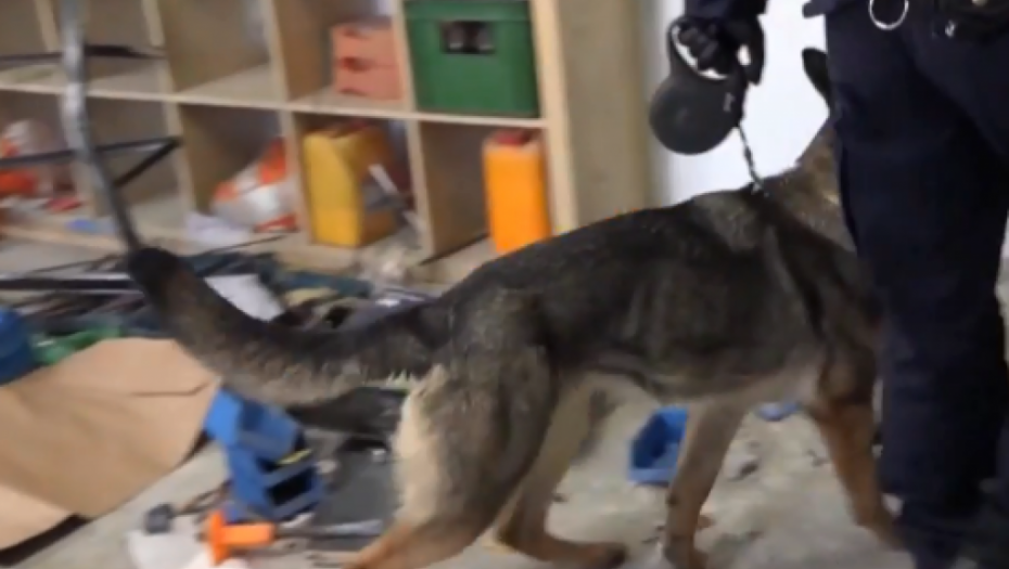 NOVE MONSTRUOZNE FOTOGRAFIJE Novinarima prikazane žrtve klana Velje Nevolje i Marka Miljkovića!