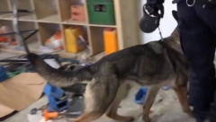 NOVE MONSTRUOZNE FOTOGRAFIJE Novinarima prikazane žrtve klana Velje Nevolje i Marka Miljkovića!