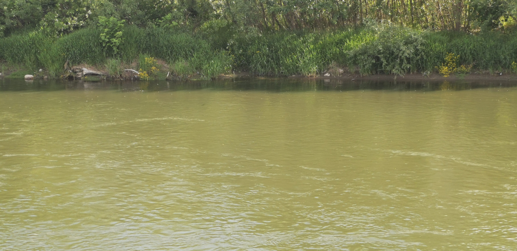 SELO KOD OBRENOVCA KRIJE TRAGEDIJU Pedeset žena skočilo u reku kako bi izbegle užasnu sudbinu