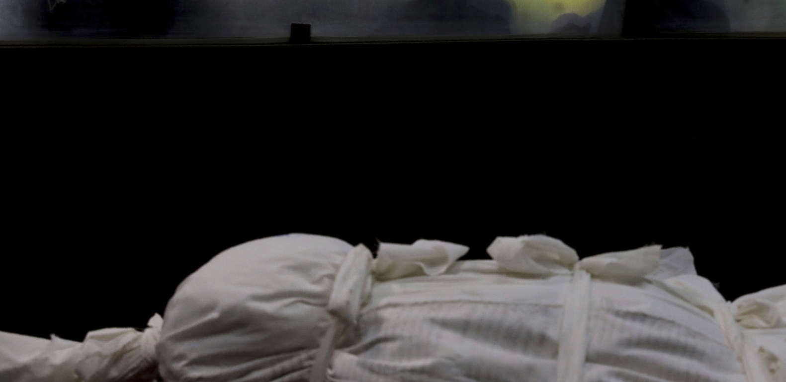 VLASOTINCE U SUZAMA Trudnica preminula od posledica prouzrokovanih korona virusom!