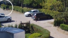 UZNEMIRUJUĆE Žene sa luksuznim automobilima ukrale ukrasne saksije sa privatnog parkinga! Cena jedne je izuzetno velika