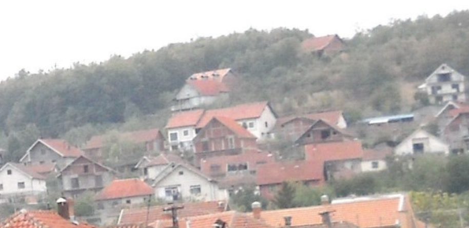 "VRIŠTALA JE DA DETE NE DIŠE" Socijalni radnici obišli kuću dva sata pre tragedije, majka nije htela da ih pusti