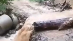 POTOP Žestoko nevreme protutnjalo Srbijom! (FOTO)