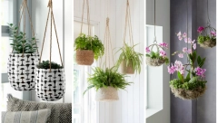 Ukrasite dom, terasu sa VISEĆIM SAKSIJAMA: Evo kako da ih sami napravite!