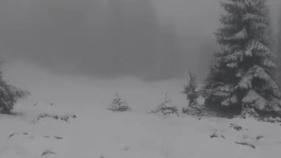 MAJSKI SNEG Vlašić osvanuo pod belim pokrivačem, temperatura u minusu (VIDEO)