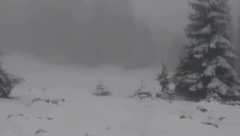 OBJAVLJENA DUGOROČNA PROGNOZA ZA CELU EVROPU Čeka li Srbiju sneg u maju