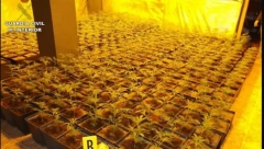 PONOVO SU PALI: Srpski dileri na udaru španske policije, proizvodili drogu na tajnim mestima